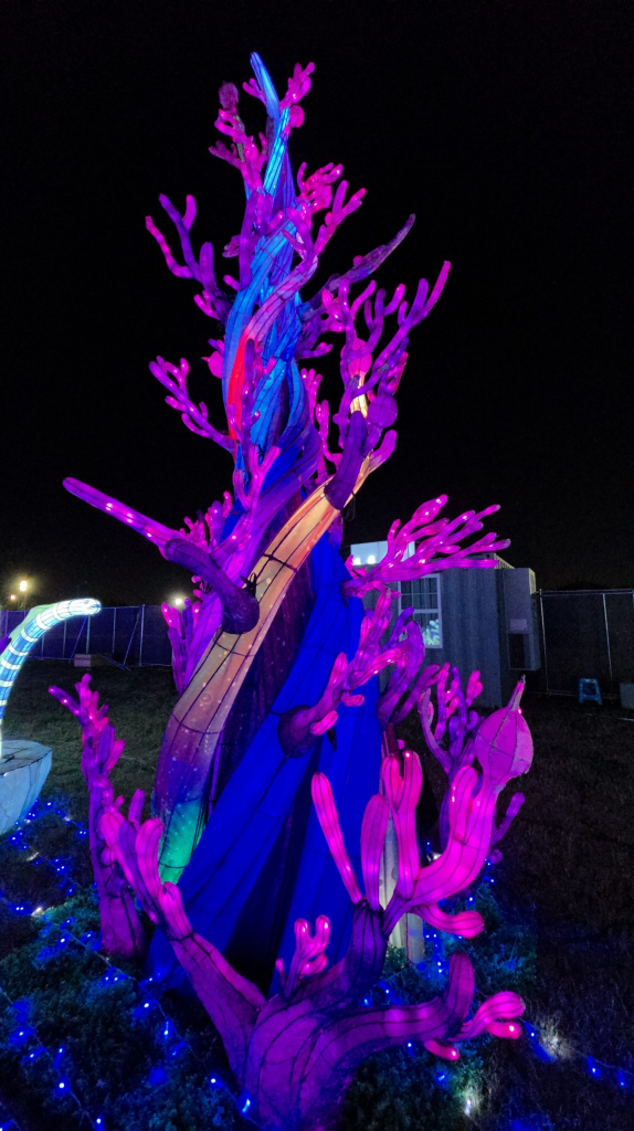 Koda’s Adventure Tianyu Lights Festival Dallas