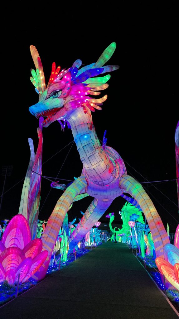 Koda’s Adventure Tianyu Lights Festival Dallas
