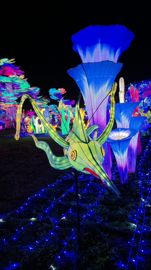 Koda’s Adventure Tianyu Lights Festival Dallas