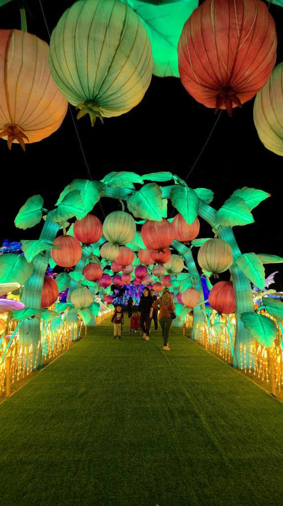 Koda’s Adventure Tianyu Lights Festival Dallas