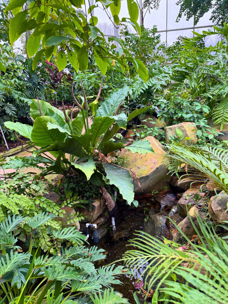 Fort Worth Botanic Garden