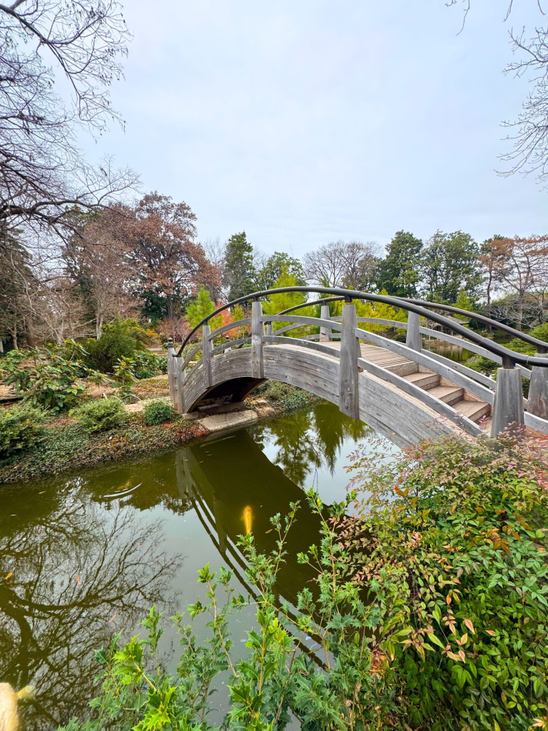 Fort Worth Botanic Garden features