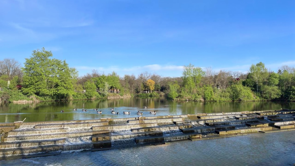 White Rock Lake Dallas waterfront view