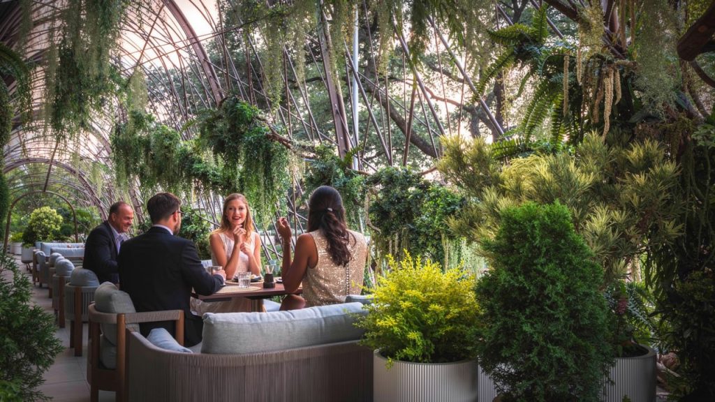 Toca Madera Bird's Nest dining room