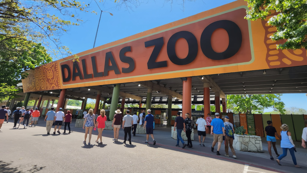 The Dallas Zoo Has Amazing Koalas and Giraffes Dallas Zoo in South Dallas